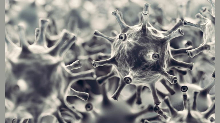 Mumbai reports 924 COVID-19 cases; only 11 active in Dadar Mumbai reports 924 COVID-19 cases; only 11 active in Dadar