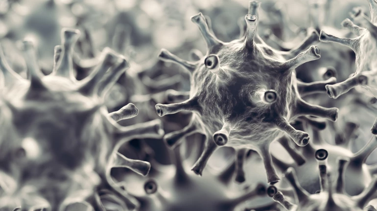 चिंतेत वाढ! महाराष्ट्रात नव्या कोरोनाचे ८ रूग्ण आढळले चिंतेत वाढ! महाराष्ट्रात नव्या कोरोनाचे ८ रूग्ण आढळले