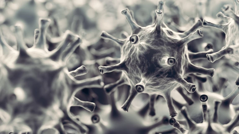 Mumbai: Nodal Officers Appointed by the BMC to Screen Arriving Passengers at Railway Stations Mumbai: Nodal Officers Appointed by the BMC to Screen Arriving Passengers at Railway Stations