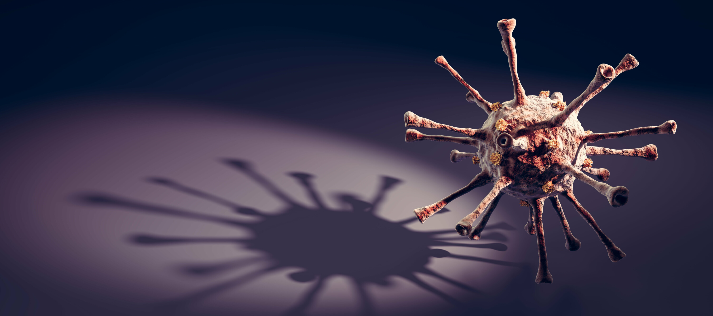 No new strain of COVID-19 detected so far, says BMC additional commissioner Suresh Kakani