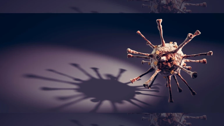 Thane logs 286 new COVID-19 cases; seven deaths on January 21 Thane logs 286 new COVID-19 cases; seven deaths on January 21