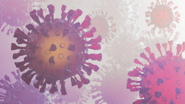 Zika Virus in Maharashtra: Centre Issues Advisory After 8 Cases Reported Zika Virus in Maharashtra: Centre Issues Advisory After 8 Cases Reported