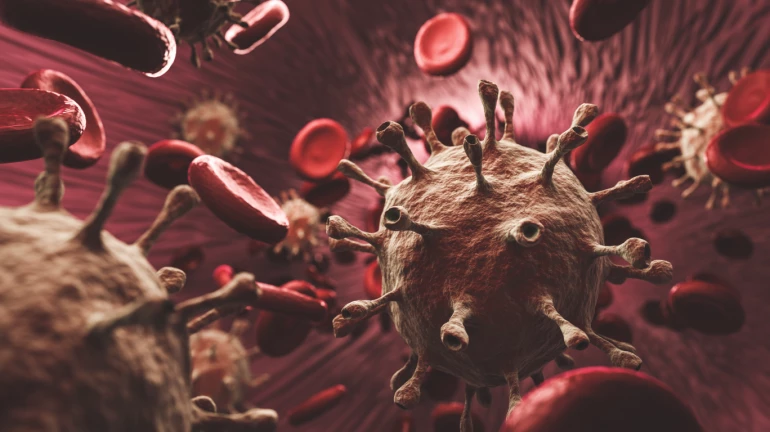 Not 8-12 weeks but this time gap between AstraZeneca vaccine will help boost antibody levels, informs Oxford study Not 8-12 weeks but this time gap between AstraZeneca vaccine will help boost antibody levels, informs Oxford study