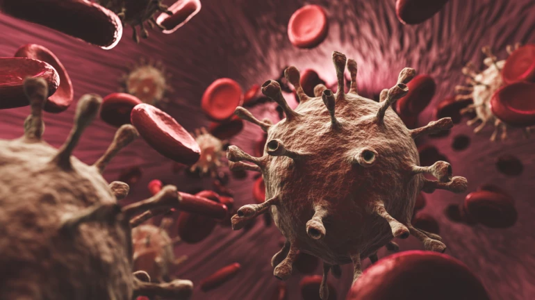 भंडारा ठरला राज्यात पहिला कोरोनामुक्त जिल्हा भंडारा ठरला राज्यात पहिला कोरोनामुक्त जिल्हा