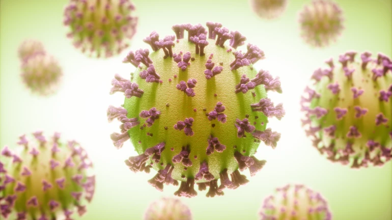 Sero Survey reveals 50% of children in Mumbai have COVID-19 antibodies. Read here Sero Survey reveals 50% of children in Mumbai have COVID-19 antibodies. Read here