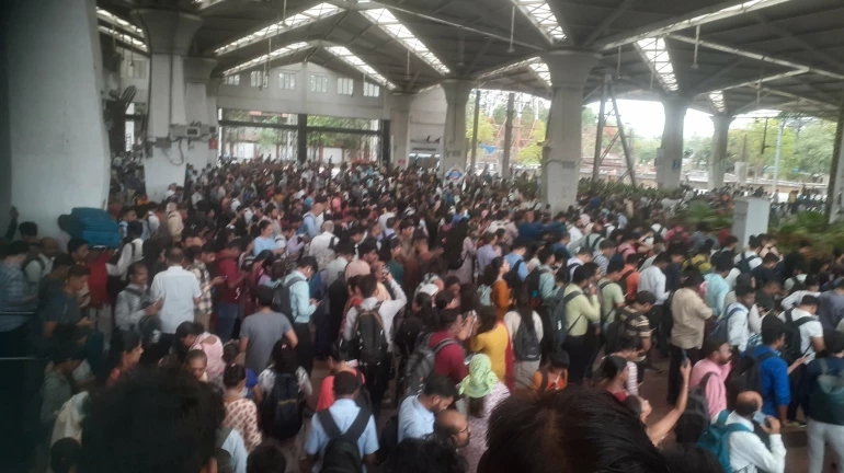 Mumbai Local News: Commuters Stranded as Harbour Line Services Temporarily Halted Mumbai Local News: Commuters Stranded as Harbour Line Services Temporarily Halted