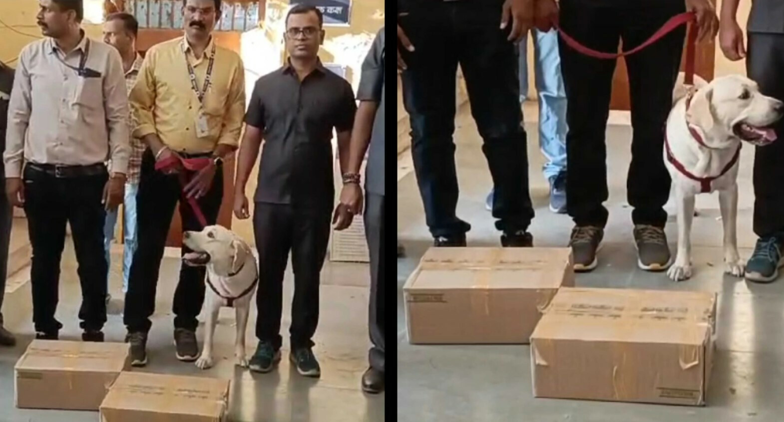 कल्याण स्टेशनवर सापडले 54 डिटोनेटर