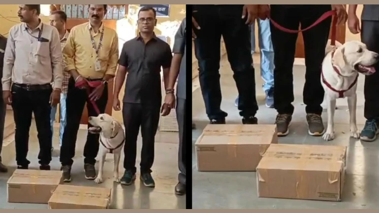 कल्याण स्टेशनवर सापडले 54 डिटोनेटर कल्याण स्टेशनवर सापडले 54 डिटोनेटर