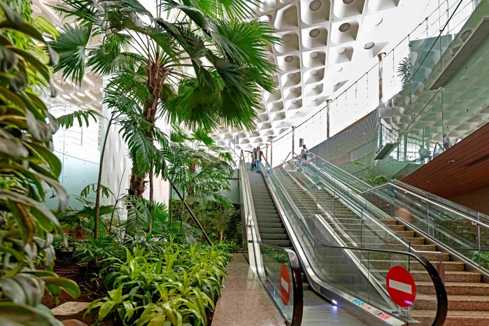 Nature Conservation Day: CSMIA’s efforts towards sustaining Green Landscape