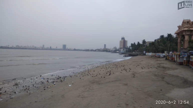 चक्रीवादळानंतर मुंबईच्या समुद्रकिनाऱ्यांवर ८७% अधिक कचरा जमा चक्रीवादळानंतर मुंबईच्या समुद्रकिनाऱ्यांवर ८७% अधिक कचरा जमा