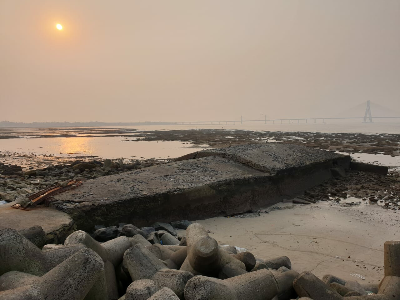 Mumbai: BMC to Construct an Elevated Viewing Deck at Chaityabhoomi