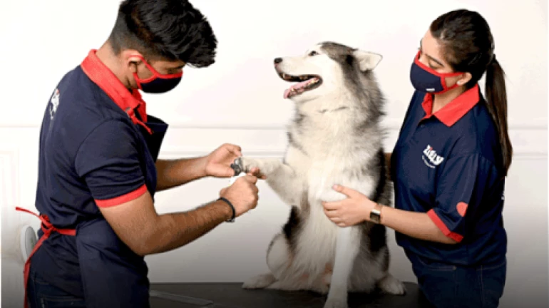 National Dog Day: Free Anti Rabies Vaccine Drive Organised Across Nation National Dog Day: Free Anti Rabies Vaccine Drive Organised Across Nation