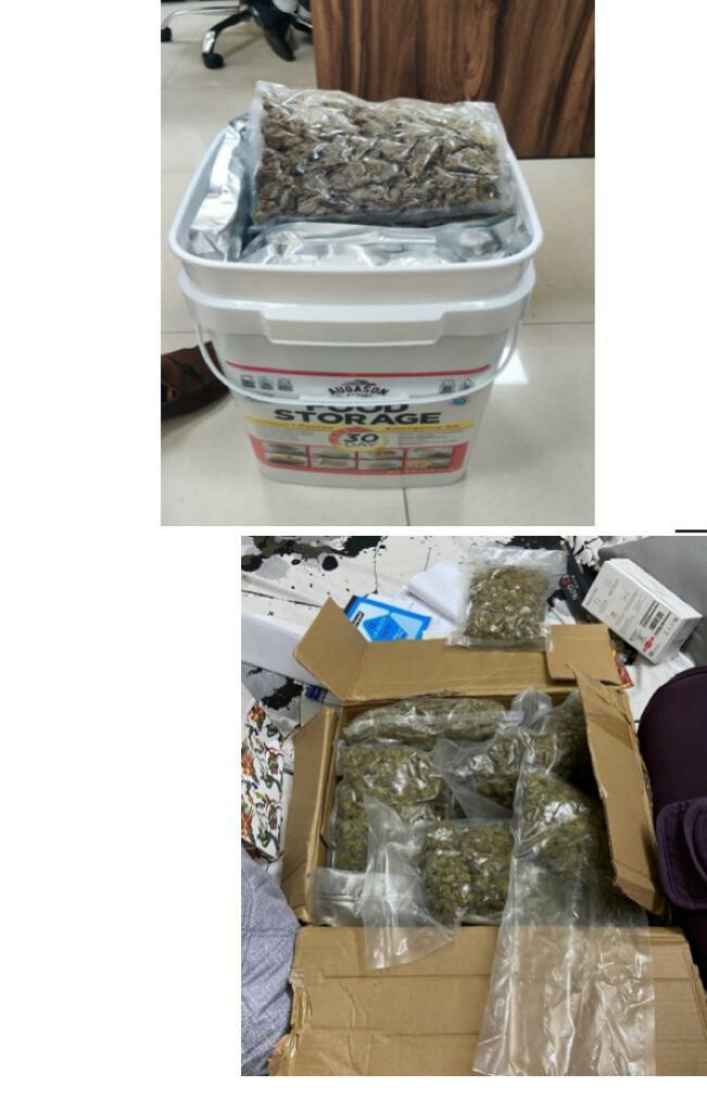 मुंबई- 3.5 किलोग्राम हाइड्रोपोनिक वीड जब्त