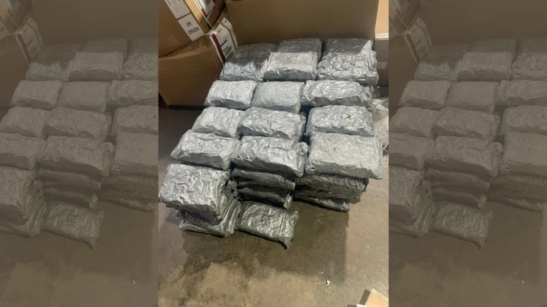 DRI seizes 86.5 Kg of weed worth INR 39.5 Cr; 2 Held From Mumbai DRI seizes 86.5 Kg of weed worth INR 39.5 Cr; 2 Held From Mumbai