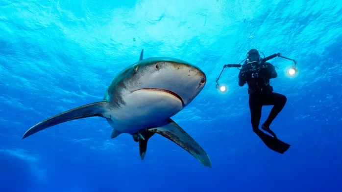 Earth Day 2022: 10 Enchanting Films, Documentaries To Explore Corners Of The Planet