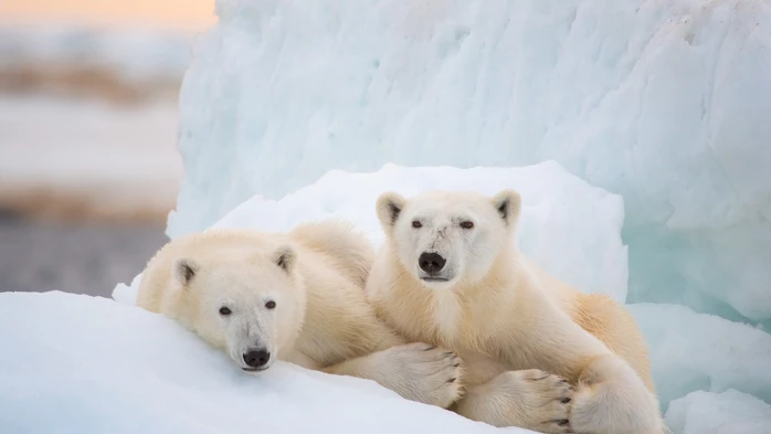 Earth Day 2022: 10 Enchanting Films, Documentaries To Explore Corners Of The Planet