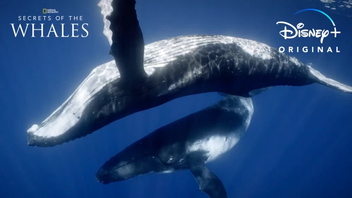 Earth Day 2022: 10 Enchanting Films, Documentaries To Explore Corners Of The Planet