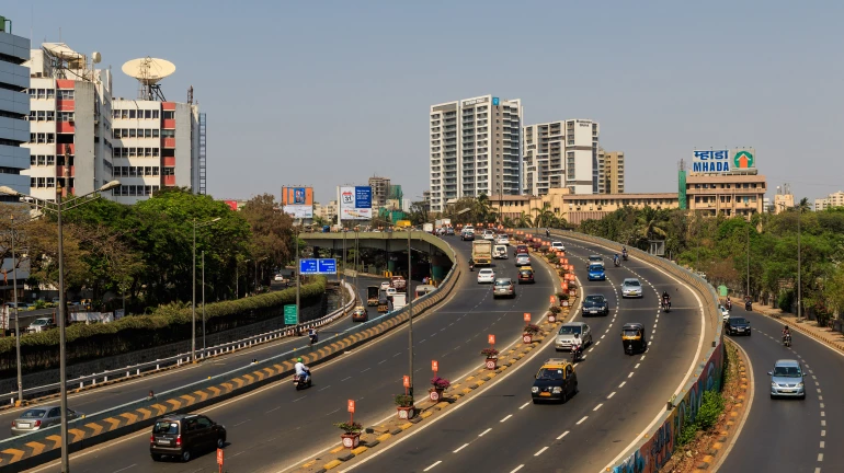 पूर्व-पश्चिम द्रूतगती महामार्गावर बांबूची झाडे लावण्यात येणार पूर्व-पश्चिम द्रूतगती महामार्गावर बांबूची झाडे लावण्यात येणार