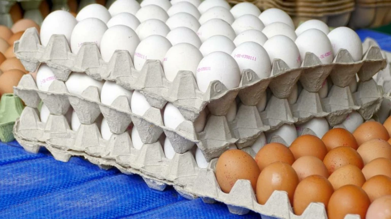 Egg price witness sharp fall due to bird flu scare in the city