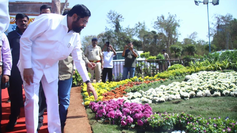 महाराष्ट्र की 394 नगर परिषदों और नगर पंचायतों में विकसित होंगे 'नमो उद्यान' महाराष्ट्र की 394 नगर परिषदों और नगर पंचायतों में विकसित होंगे 'नमो उद्यान'