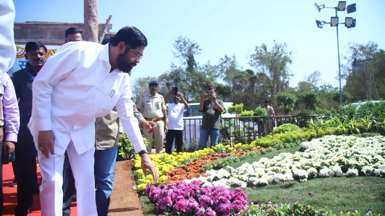 Every student in Thane should plant one tree and take care of it: DCM Eknath Shinde Every student in Thane should plant one tree and take care of it: DCM Eknath Shinde
