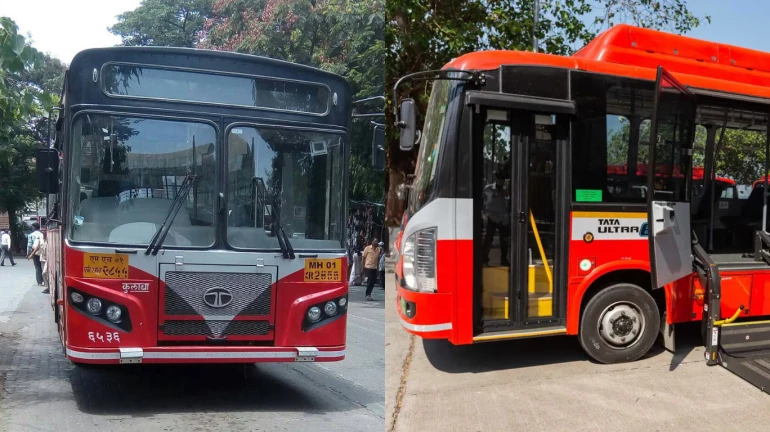 Mumbai: 10 electric buses entered in BEST's fleet Mumbai: 10 electric buses entered in BEST's fleet