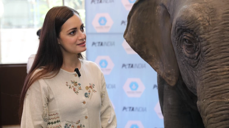 Dia Mirza gives voice to Asia's first empathy-building elephant Ellie