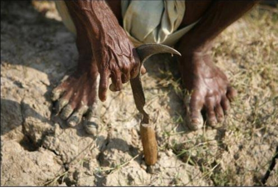 किसानों के लिए दिवाली बनी दिवाला