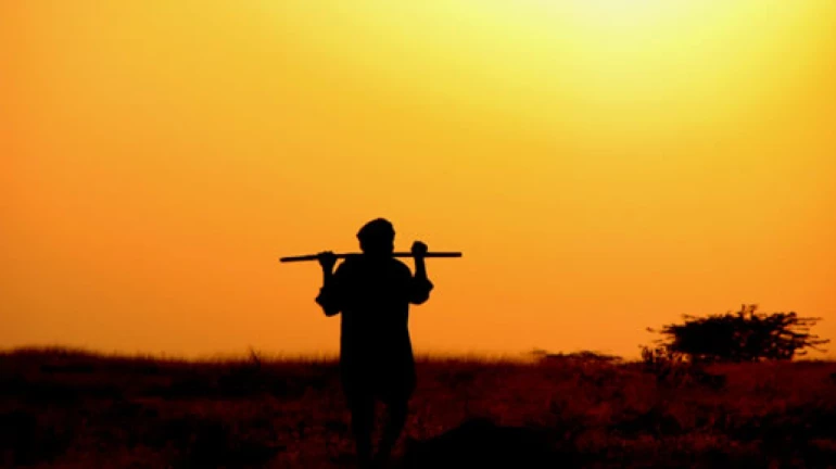 महाराष्ट्रात सहा महीन्यात 1,267 शेतकऱ्यांची आत्महत्या महाराष्ट्रात सहा महीन्यात 1,267 शेतकऱ्यांची आत्महत्या