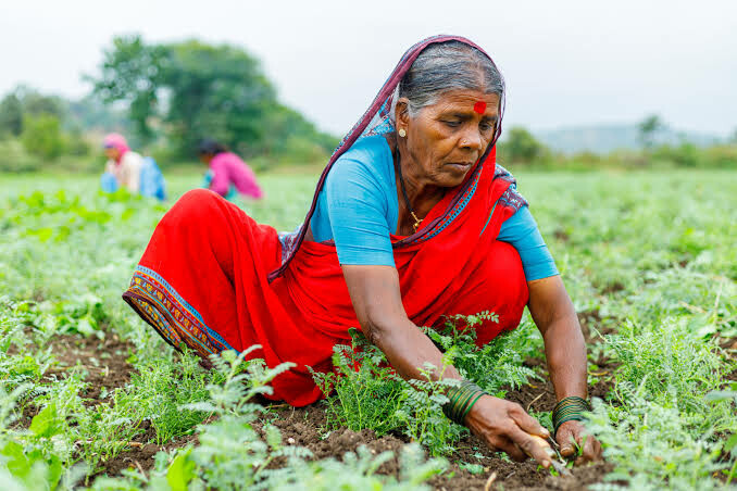Maharashtra Plans New Law to Recognise Women in Agriculture as Farmers