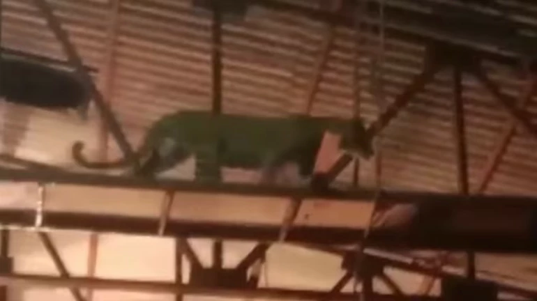 नाहीतर आम्ही संपावर जाऊ, ऑल इंडियन सिने वर्कर्स असोसिएशनचा इशारा नाहीतर आम्ही संपावर जाऊ, ऑल इंडियन सिने वर्कर्स असोसिएशनचा इशारा