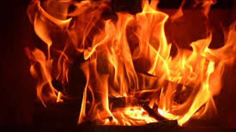 वसई में कोरोना अस्पताल में लगी आग, 13 मरीज़ो की मौत वसई में कोरोना अस्पताल में लगी आग, 13 मरीज़ो की मौत