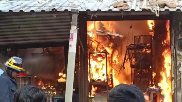 Several animals, birds charred to death after fire break out in Kalyan's pet shop Several animals, birds charred to death after fire break out in Kalyan's pet shop