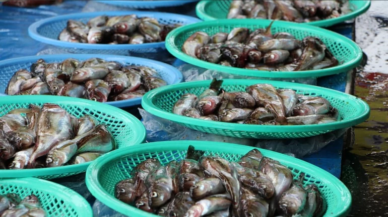 Dombivali: Redevelopment of renowned Vishnu Nagar fish market on cards after 13 years Dombivali: Redevelopment of renowned Vishnu Nagar fish market on cards after 13 years