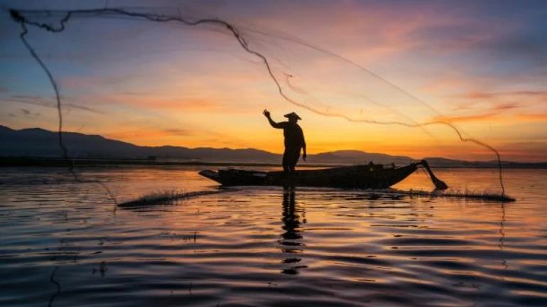 21st November to mark Fishermen's Day in Maharashtra Starting this Year 21st November to mark Fishermen's Day in Maharashtra Starting this Year