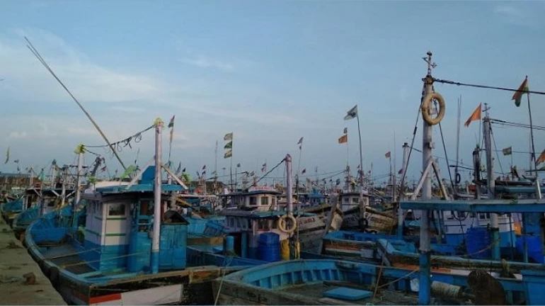 Ban imposed from June 1 to July 31 on fishing activities using mechanical boats