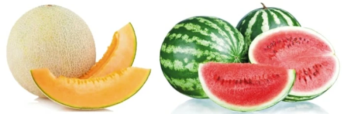 उन्हाळ्यात शरीरातील पाण्याची पातळी वाढवण्यासाठी 'ही' फळं, भाज्या खा!