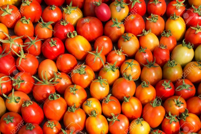 उन्हाळ्यात शरीरातील पाण्याची पातळी वाढवण्यासाठी 'ही' फळं, भाज्या खा!