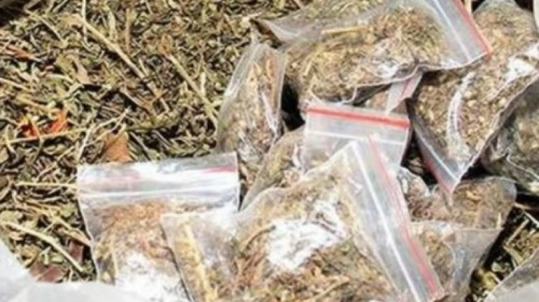 मुंबईत १८०० किलो गांजा जप्त मुंबईत १८०० किलो गांजा जप्त