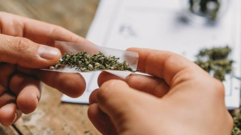 दादरमध्ये सापडला गांजाचा मोठा साठा, पोलिसांचा तपास सुरू दादरमध्ये सापडला गांजाचा मोठा साठा, पोलिसांचा तपास सुरू