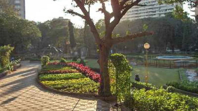 Mumbai: Court reprimands BMC for ignoring misuse of 12 parks Mumbai: Court reprimands BMC for ignoring misuse of 12 parks
