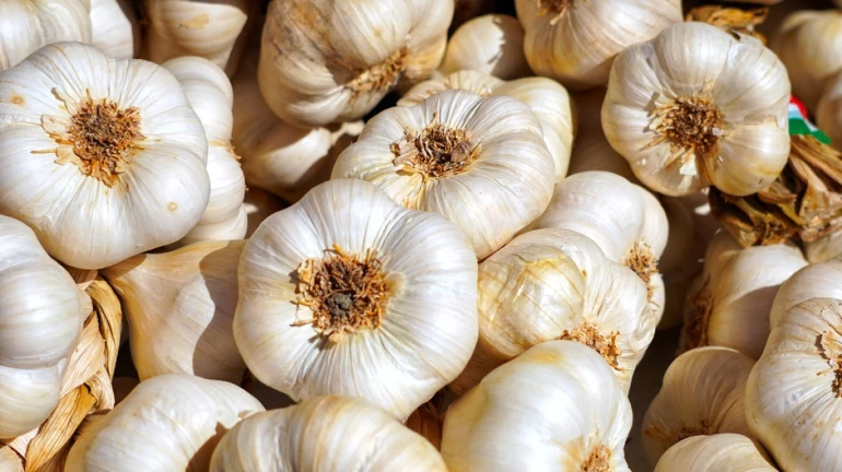 Mumbai: Prices of garlic skyrockets, price increase by INR 10-15 Mumbai: Prices of garlic skyrockets, price increase by INR 10-15
