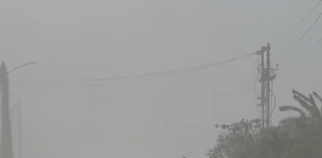 Over 2,600 Evacuated as Oleum Gas Leak Triggers Panic in Palghar District