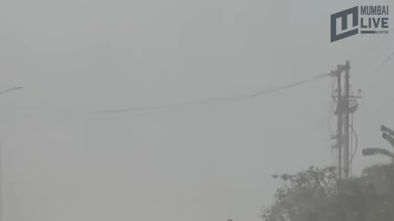 Over 2,600 Evacuated as Oleum Gas Leak Triggers Panic in Palghar District Over 2,600 Evacuated as Oleum Gas Leak Triggers Panic in Palghar District