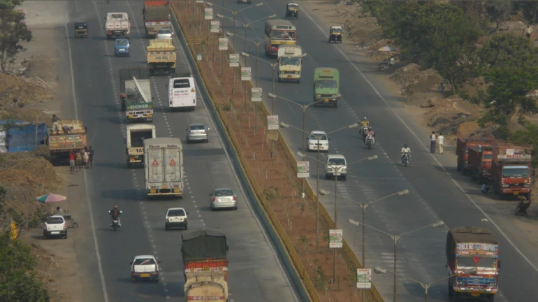 8-10 दिनों मे होगी घोड़बंदर रोड की मरम्मत 8-10 दिनों मे होगी घोड़बंदर रोड की मरम्मत