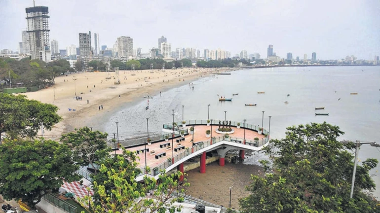 Mumbai Coastal Road Project: Girgaum Chowpatty Shut; Activists Call Construction On Beach Illegal