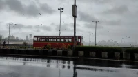 Monsoon Intensifies Across Maharashtra; Heavy Rain Likely Over Next Five Days Monsoon Intensifies Across Maharashtra; Heavy Rain Likely Over Next Five Days