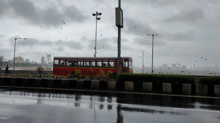 Heavy rain with gusty winds is likely in Mumbai and 'these' districts in the next few hours Heavy rain with gusty winds is likely in Mumbai and 'these' districts in the next few hours