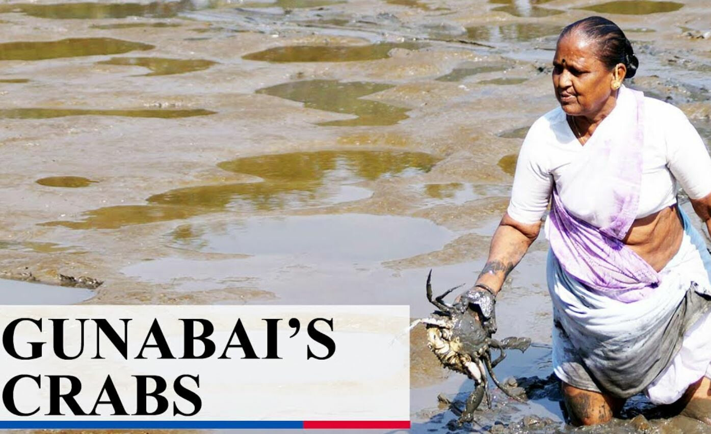 International Womens day 2022 : पहिली शिकलेली मराठी महिला 'या' व्यवसायातून कमवतेय कोट्यावधी