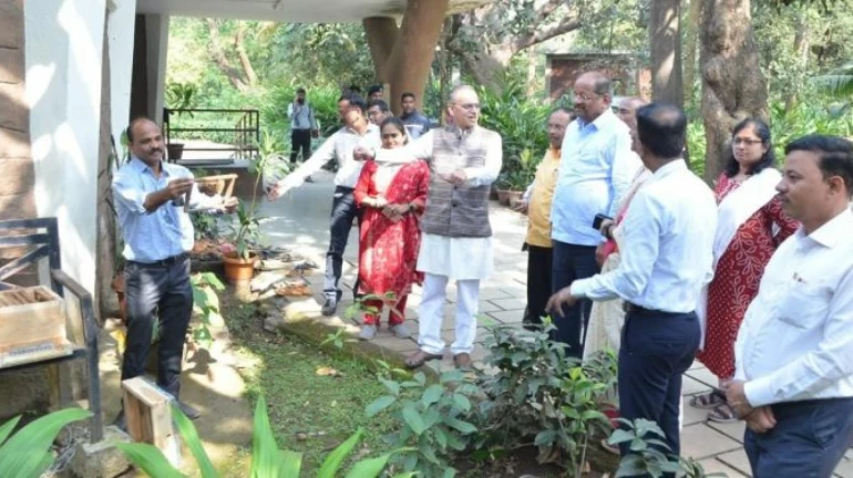बोरिवली संजय गांधी राष्ट्रीय उद्यानात मध उत्पादन केले जाणार बोरिवली संजय गांधी राष्ट्रीय उद्यानात मध उत्पादन केले जाणार